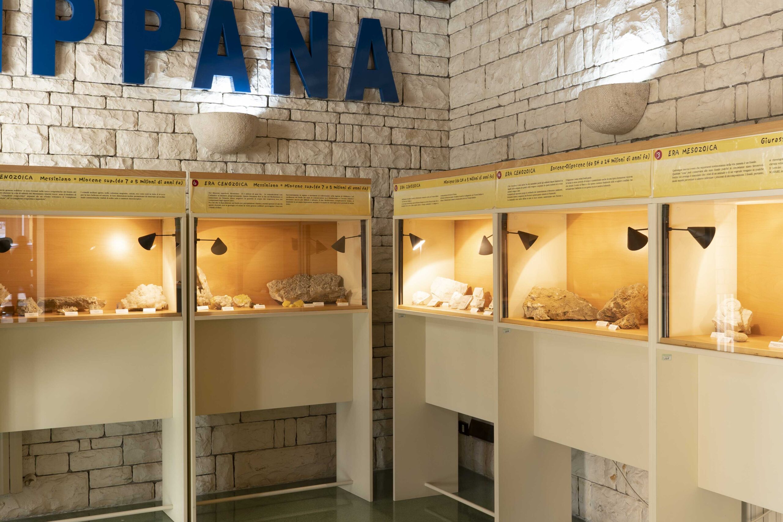 sezione Paleontologica – Museo di Prizzi
